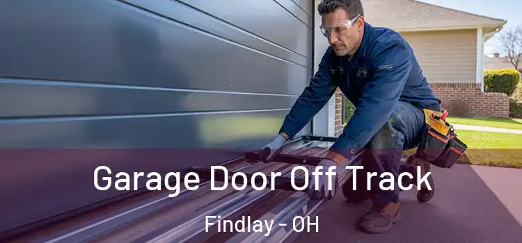  Garage Door Off Track Findlay - OH