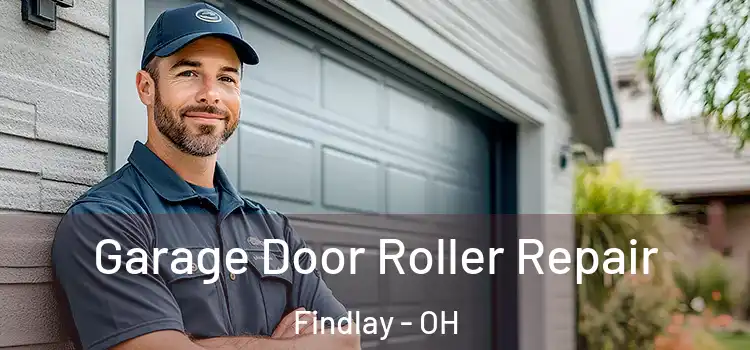  Garage Door Roller Repair Findlay - OH