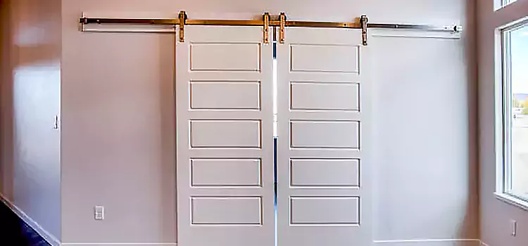 Glass Barn Door with Installation Hardware Kit Findlay
