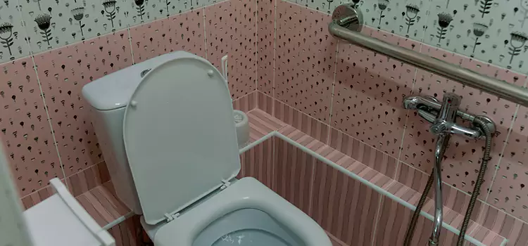 Meeting Diverse Needs With Accessible Restroom Solutions in Findlay, OH
