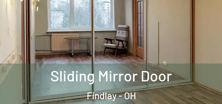  Sliding Mirror Door Findlay - OH